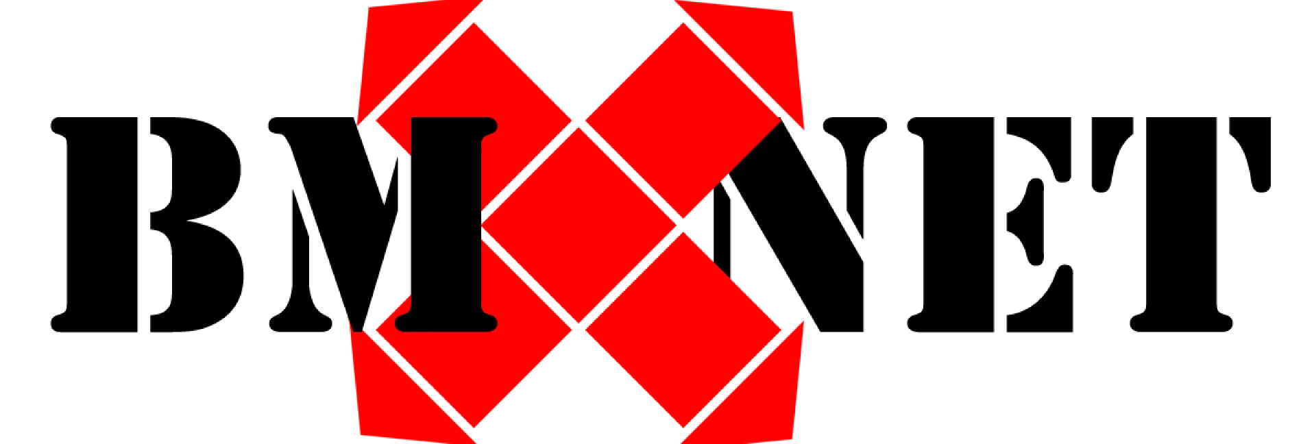 BMXnet Conference in Berlin 2025