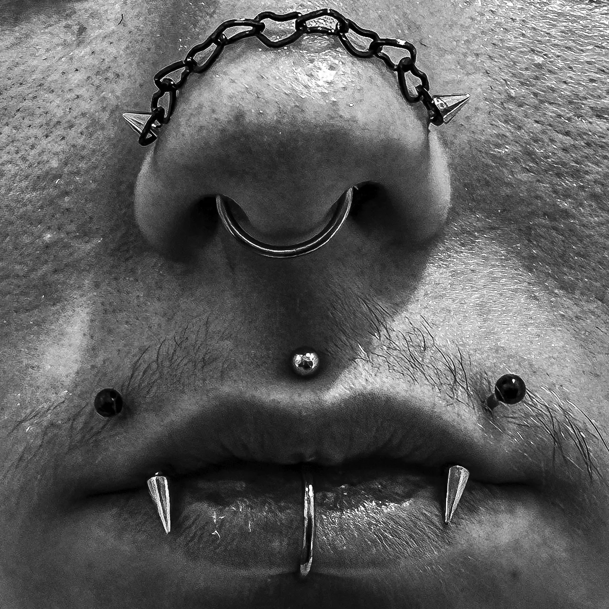 Double Nostril Septum Labret Medusa Angel Fangs Piercings