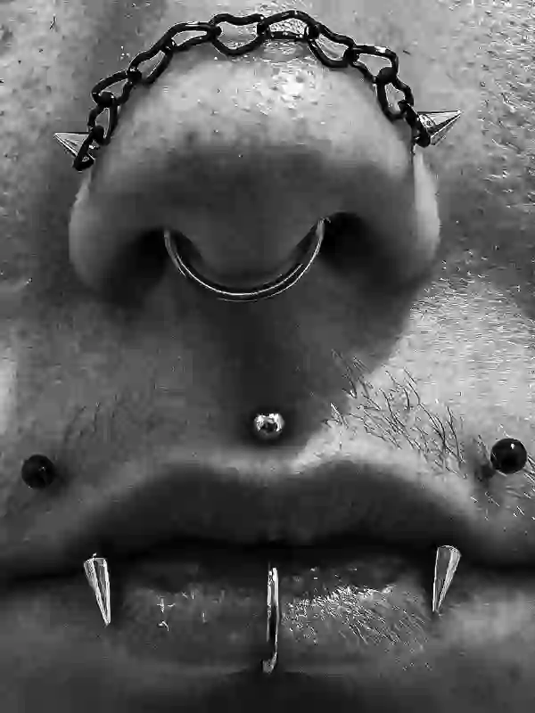 Double Nostril Septum Labret Medusa Angel Fangs Piercings