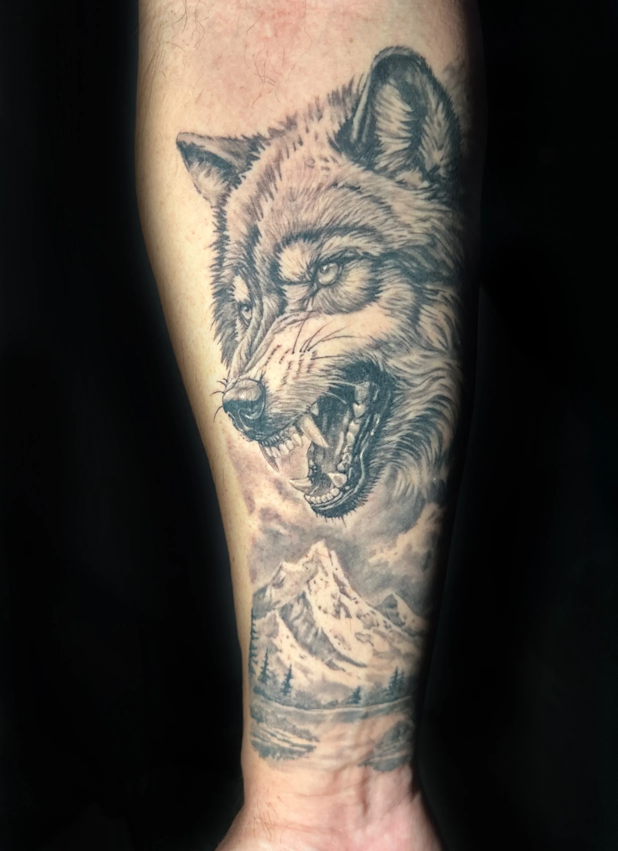 wolf