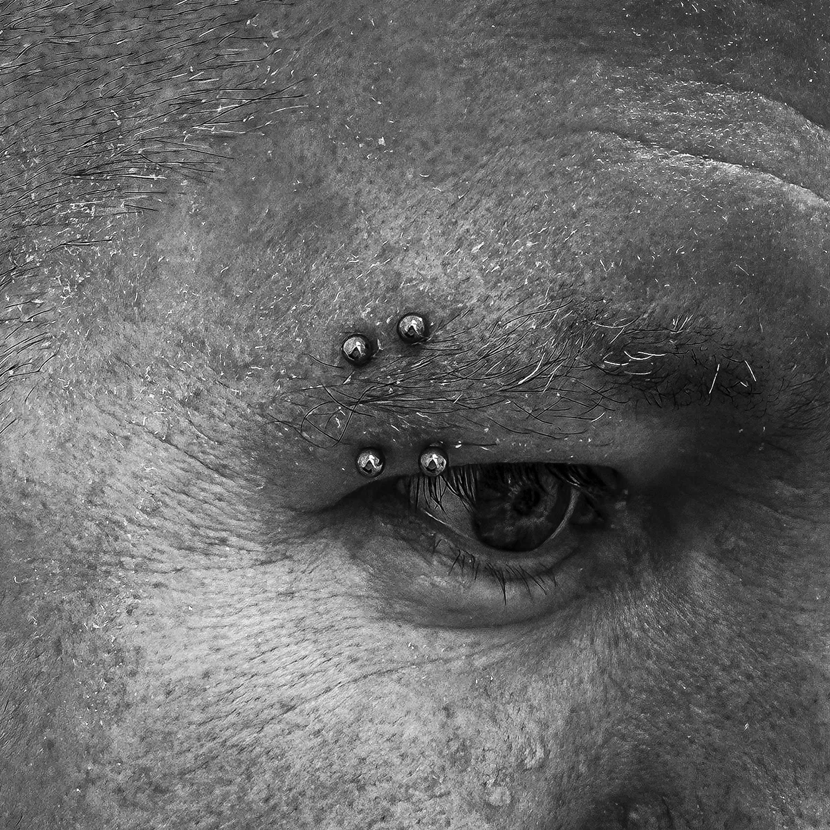 Double Eyebrow Piercing