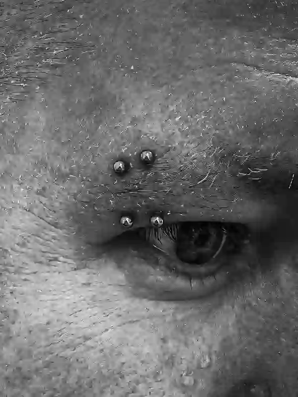 Double Eyebrow Piercing