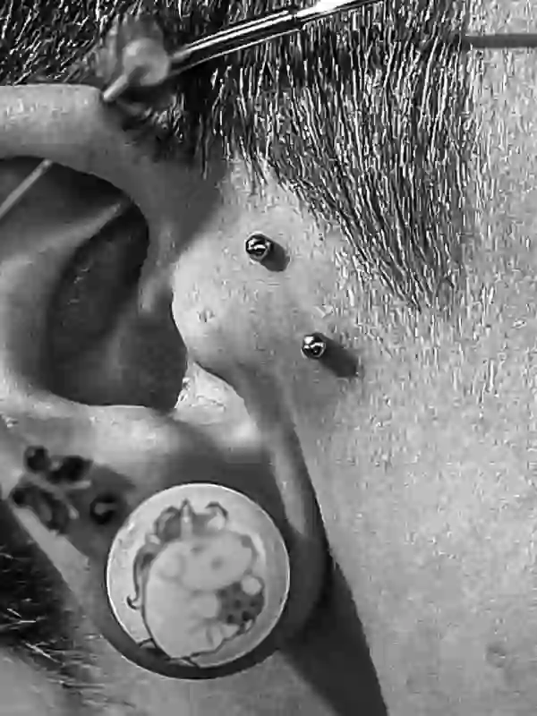 Sideburn Piercing