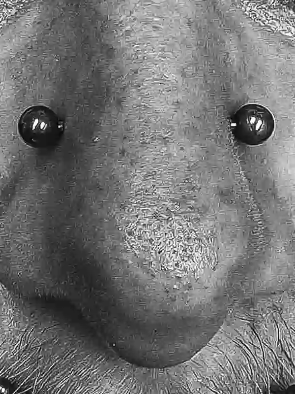 High Nostril Piercings