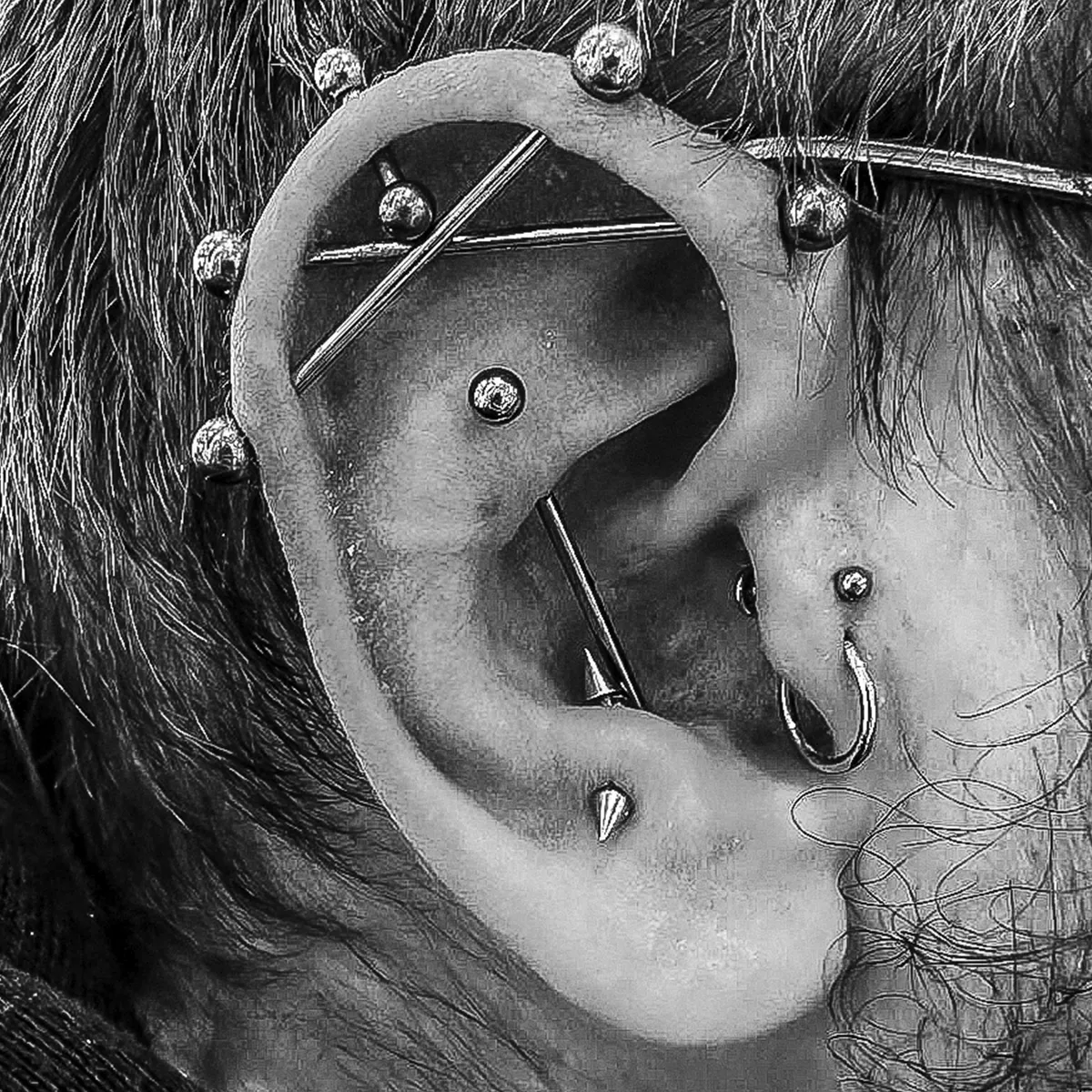 Industrials Antritragus, Vertical Helix, Flat, Double Tragus Piercing