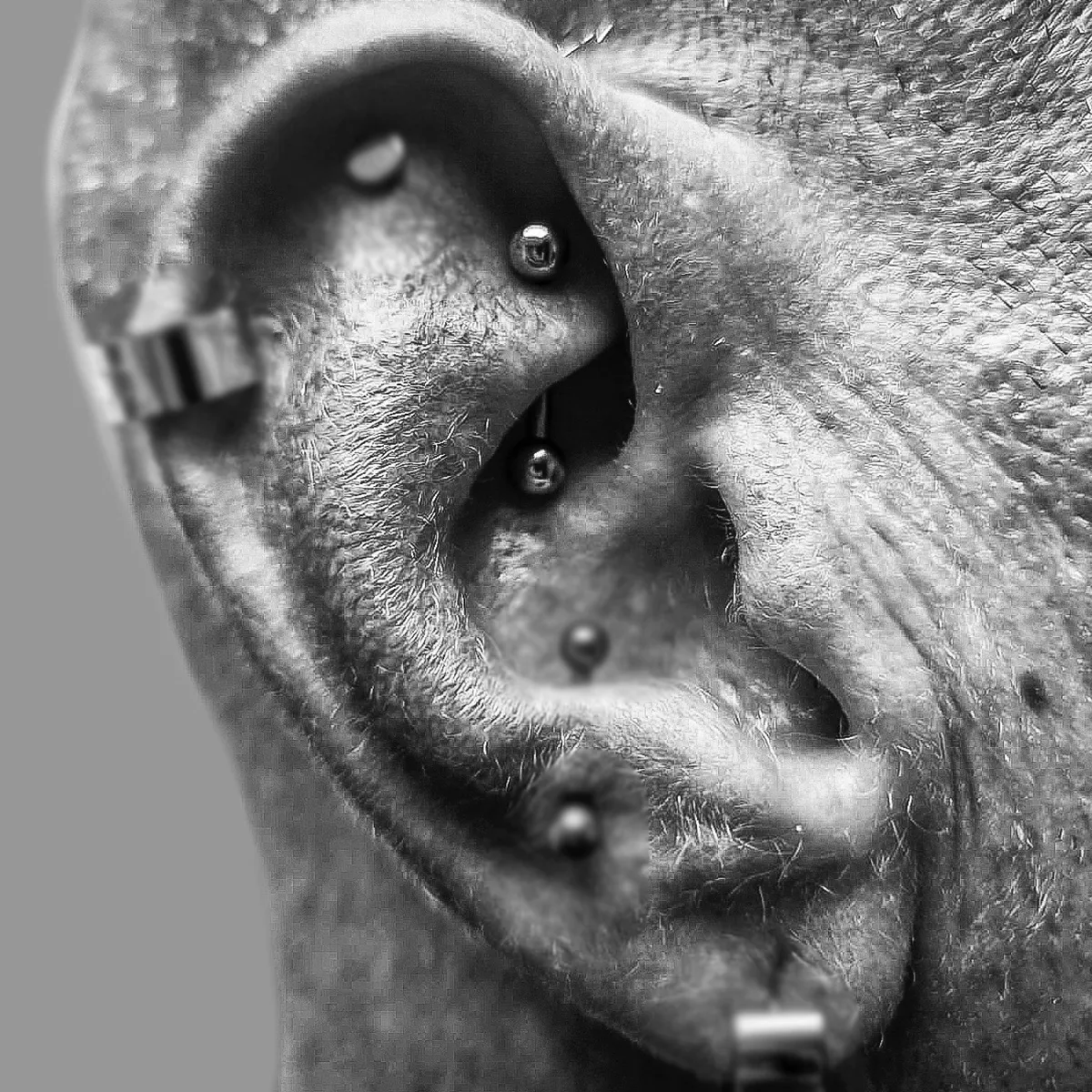 Rook Piercing frisch