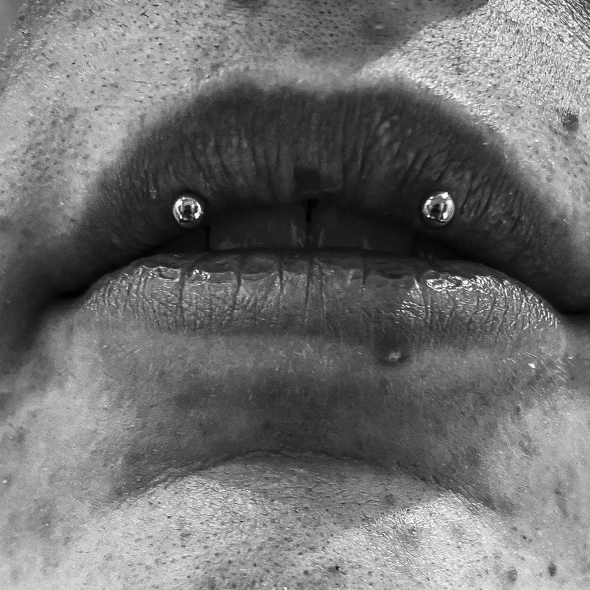 Kitty Fangs Piercings