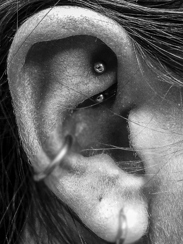 Rook und Conch Piercing
