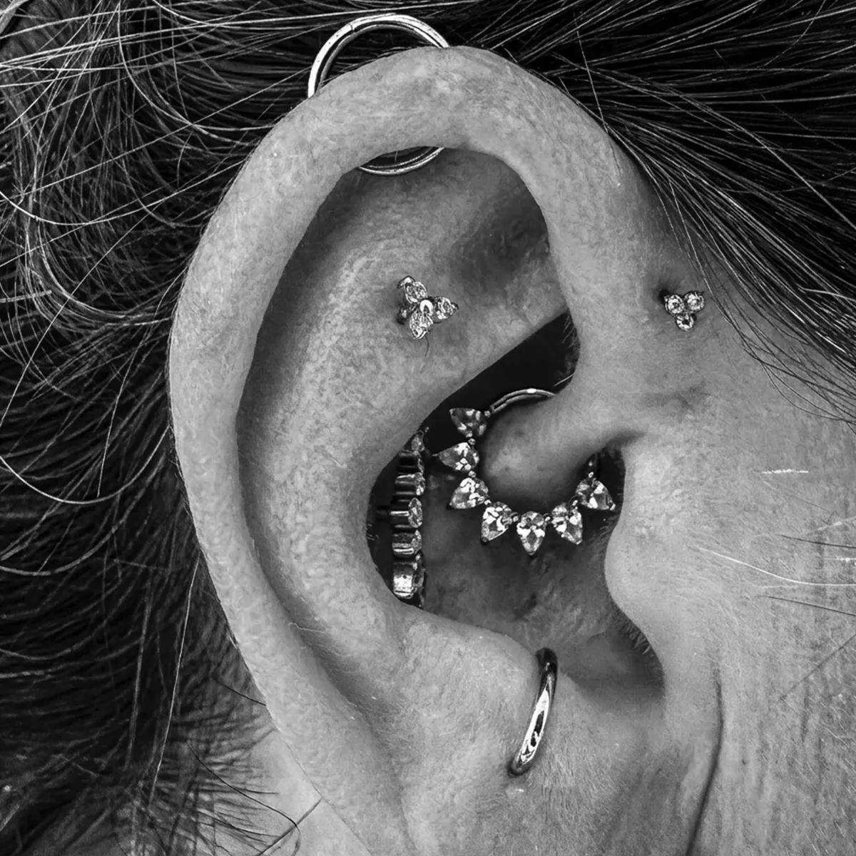 Orbital Conch Antitragus Forward Helix
