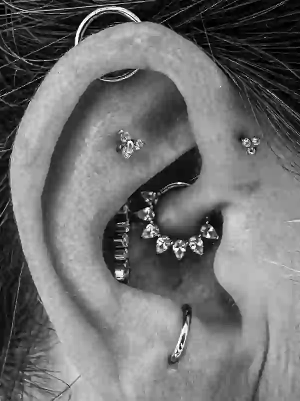 Orbital Conch Antitragus Forward Helix