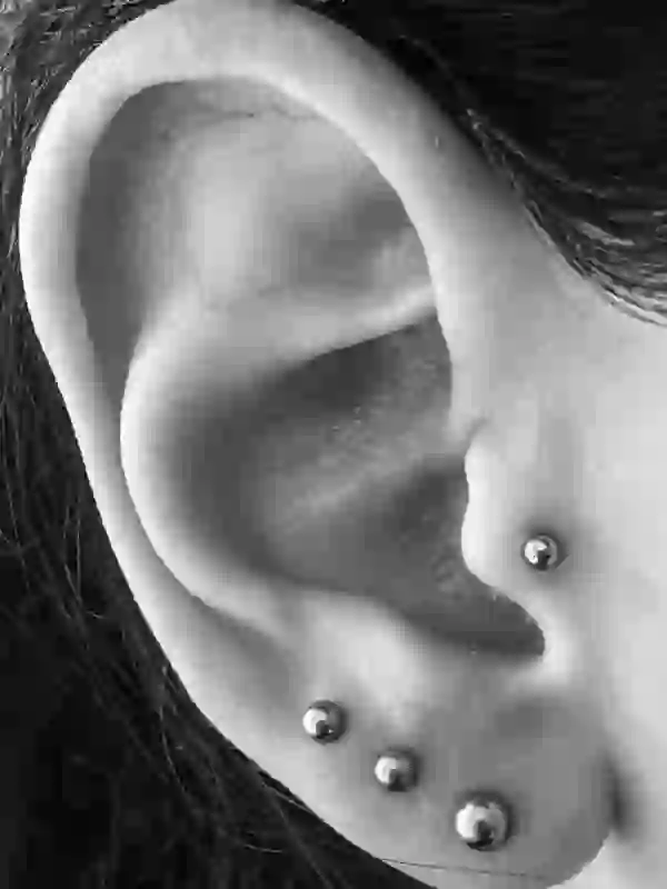 Traguspiercing Ohrlöcher