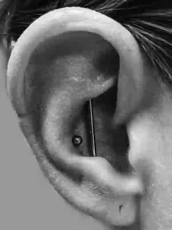 Industrial Chonch Piercing