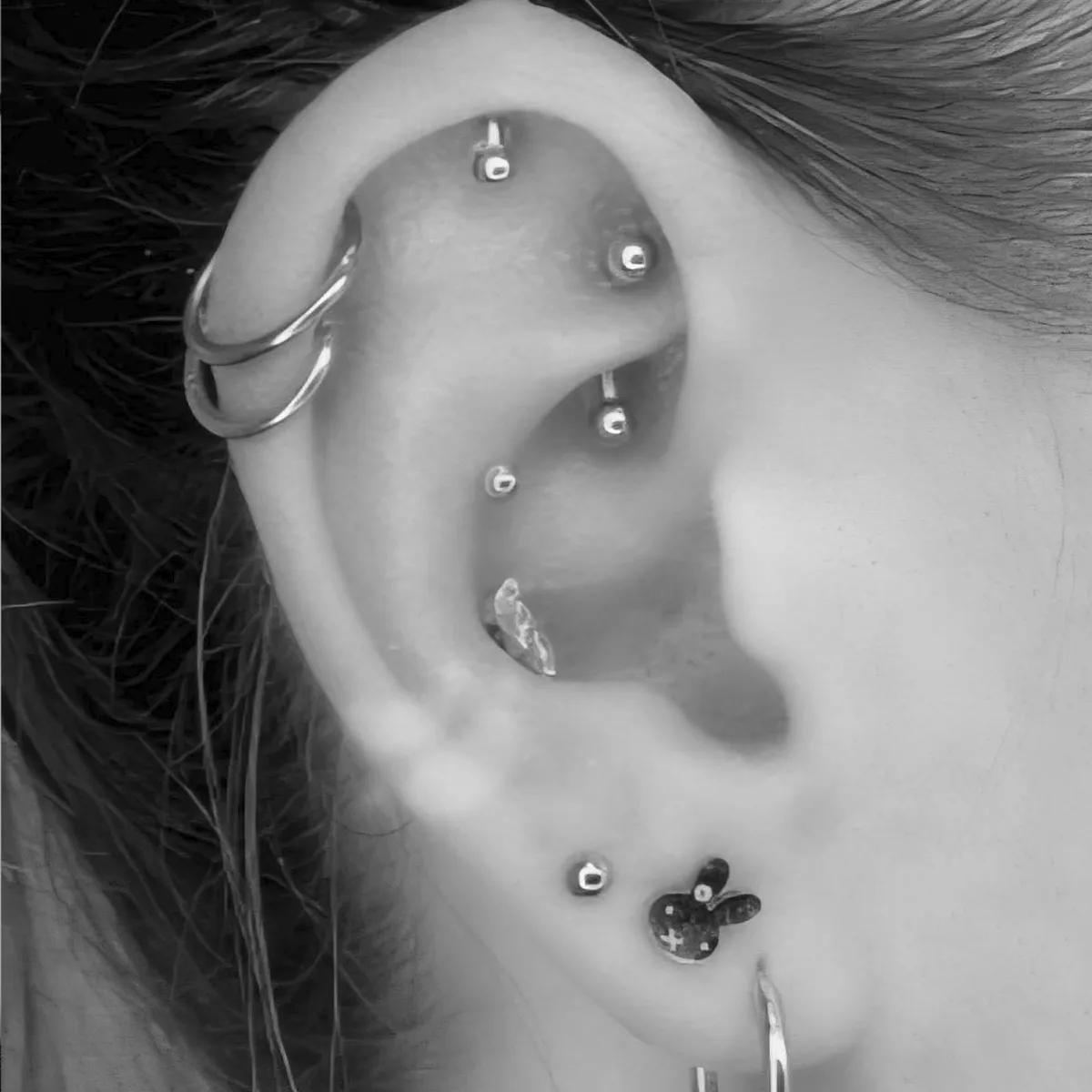 Conch Helix Rook Piercing Tempel München