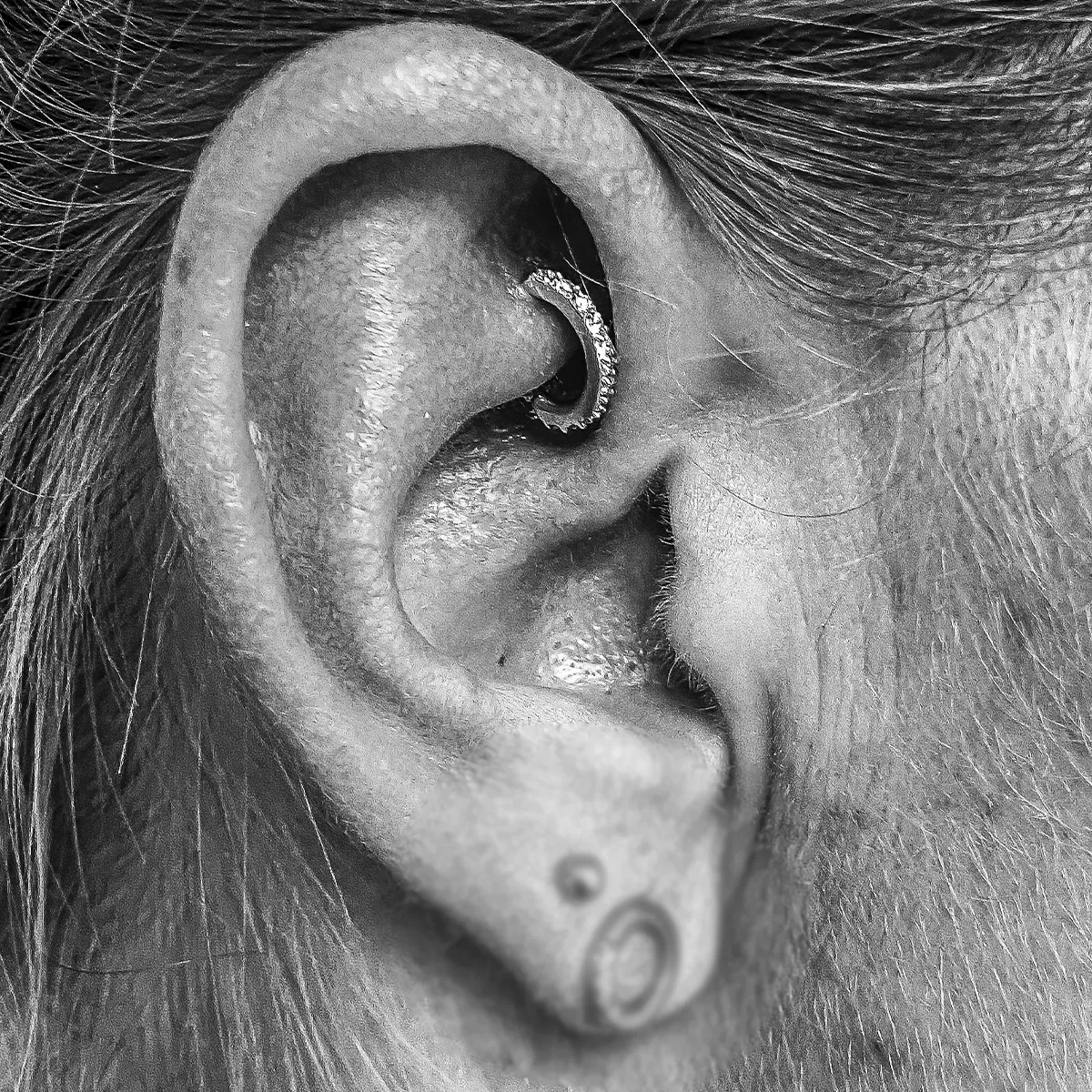 Rook Piercing mit Clicker