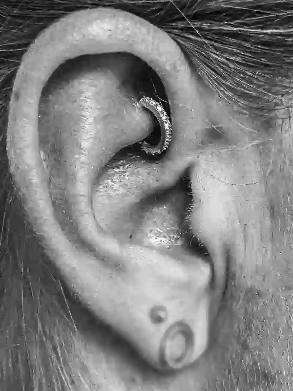 Rook Piercing mit Clicker