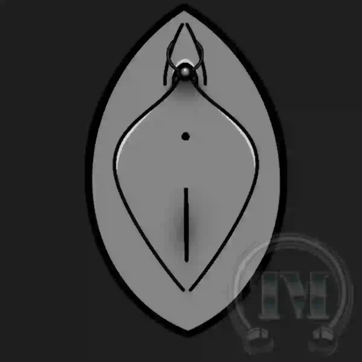 Klitorisvorhaut Piercing horizontal