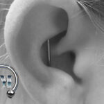 Inner Conch Industrial Piercer München