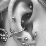 Conch Snug Antitragus Lobes Tragus Piercer München Tempel