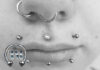 Angel Bites Piercingstudio Septum Nostril Snakebites Medusa München
