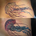 Cover-Up Qualle Rolf