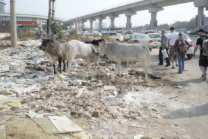 Verkehr in Delhi