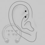 Rook Preisliste